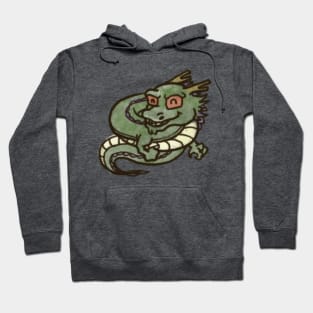 bola de dragon Hoodie